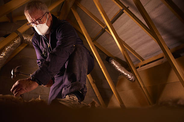 Best Insulation Materials and Products in Sandpoint, ID