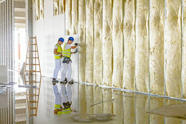 Best Insulation Maintenance and Repair in Sandpoint, ID